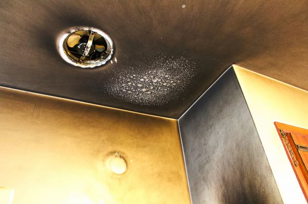 Smoke Damage Remediation in Red Oak